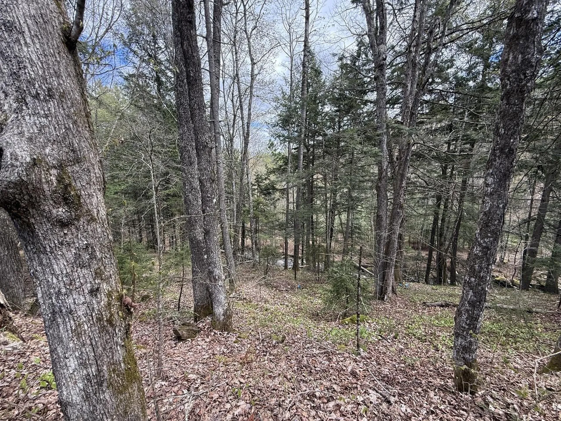 169 Jenkins Brook Road Chelsea VT 05038