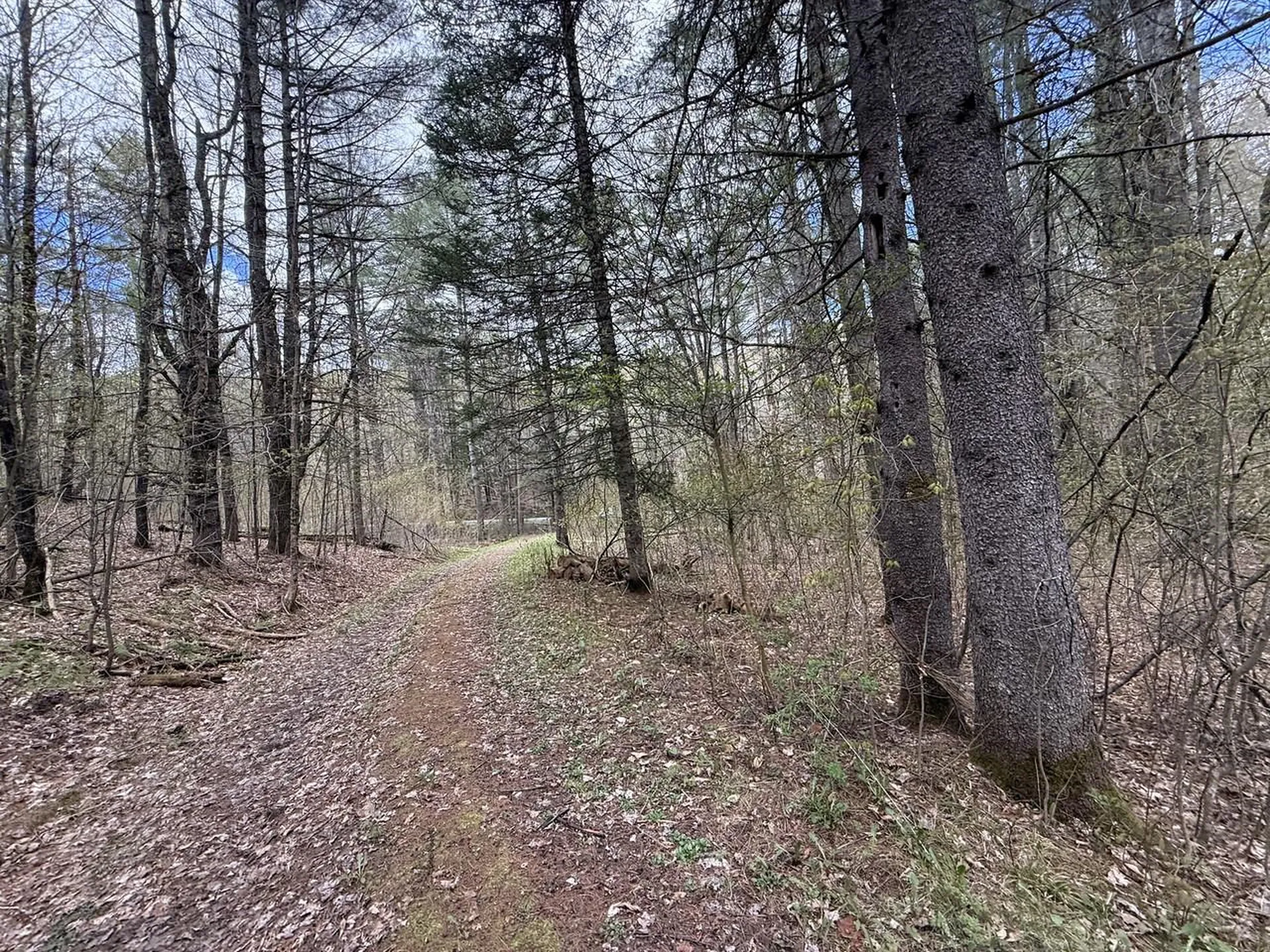 169 Jenkins Brook Road Chelsea VT 05038