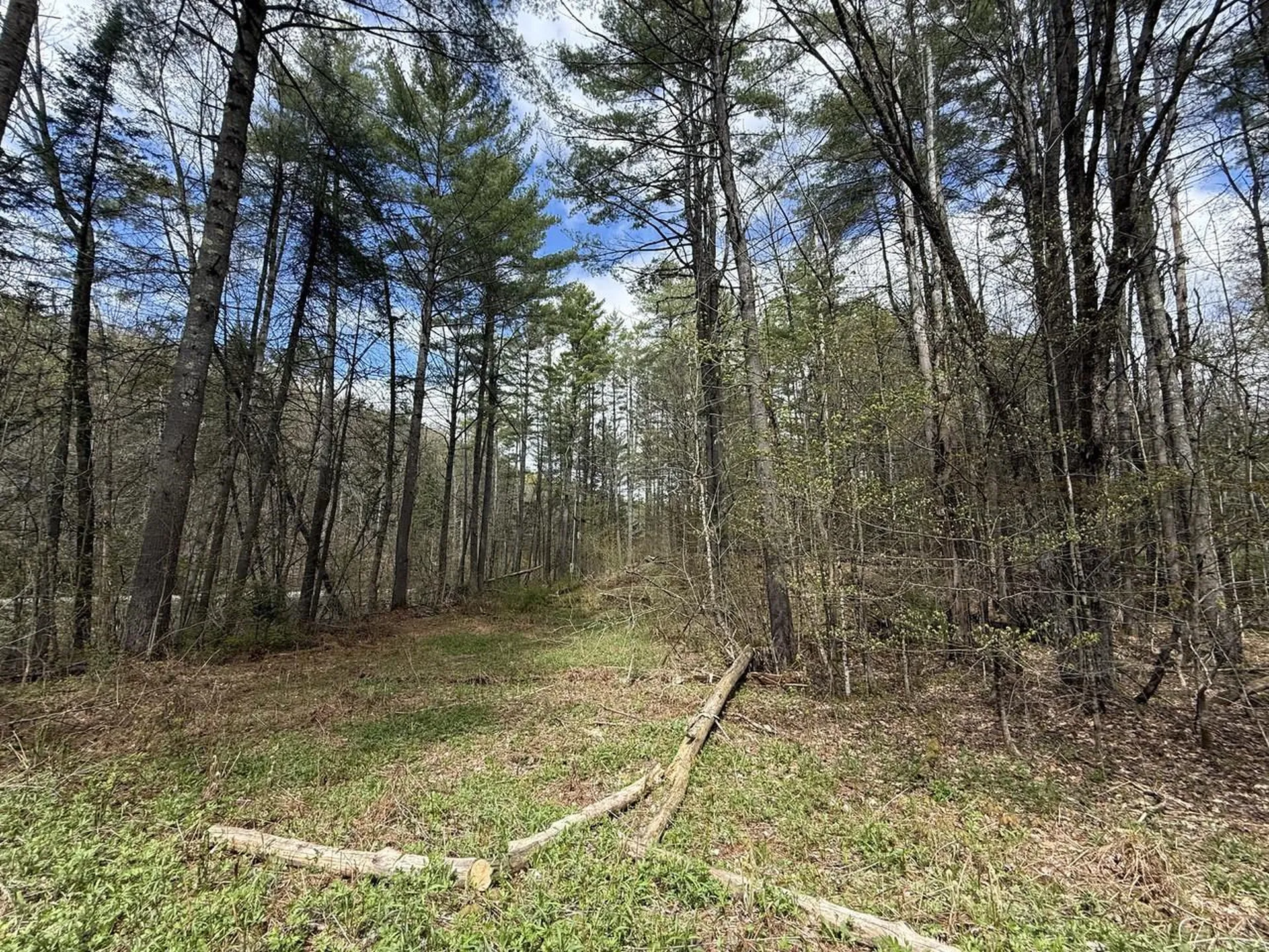 169 Jenkins Brook Road Chelsea VT 05038