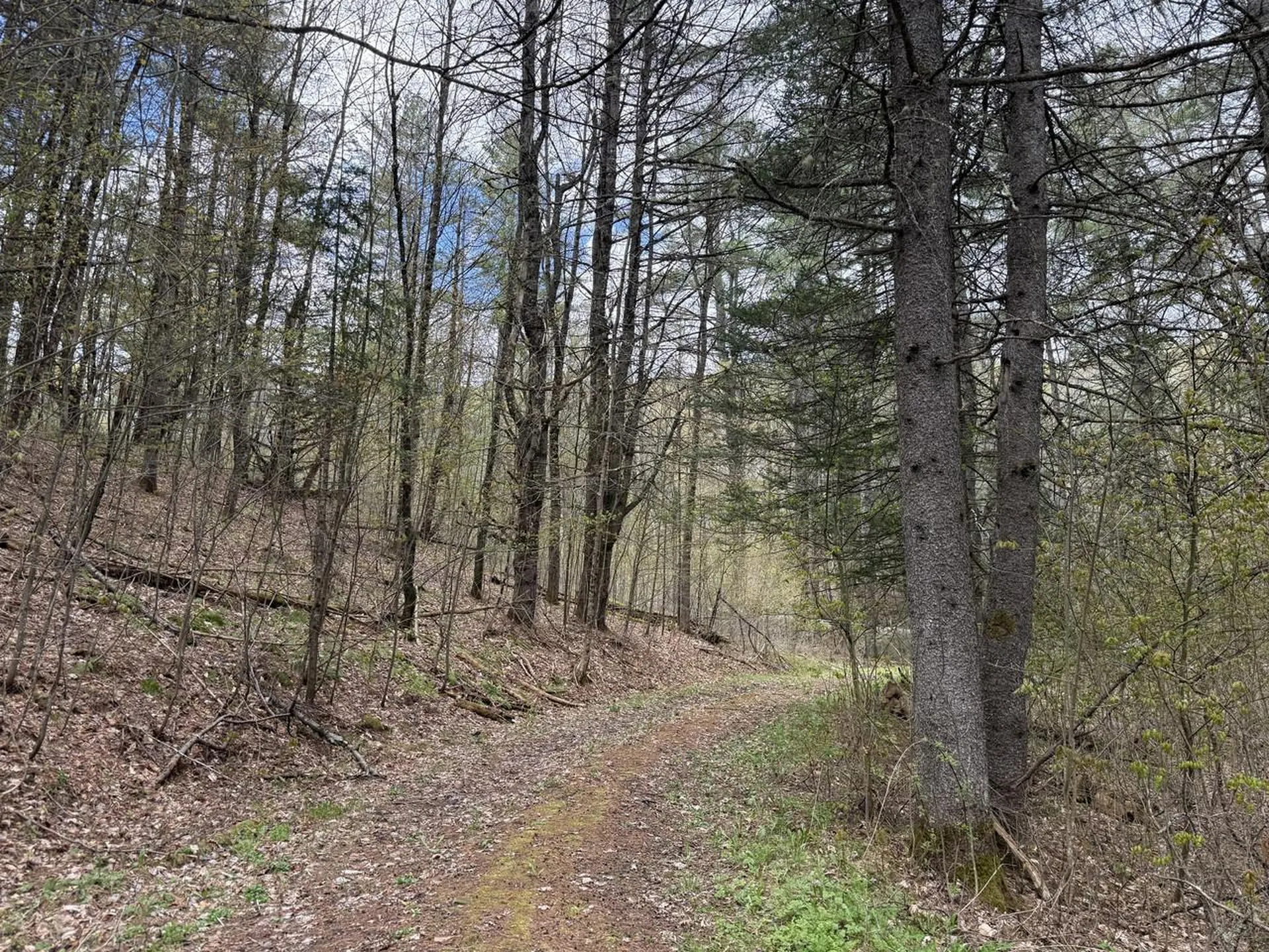 169 Jenkins Brook Road Chelsea VT 05038