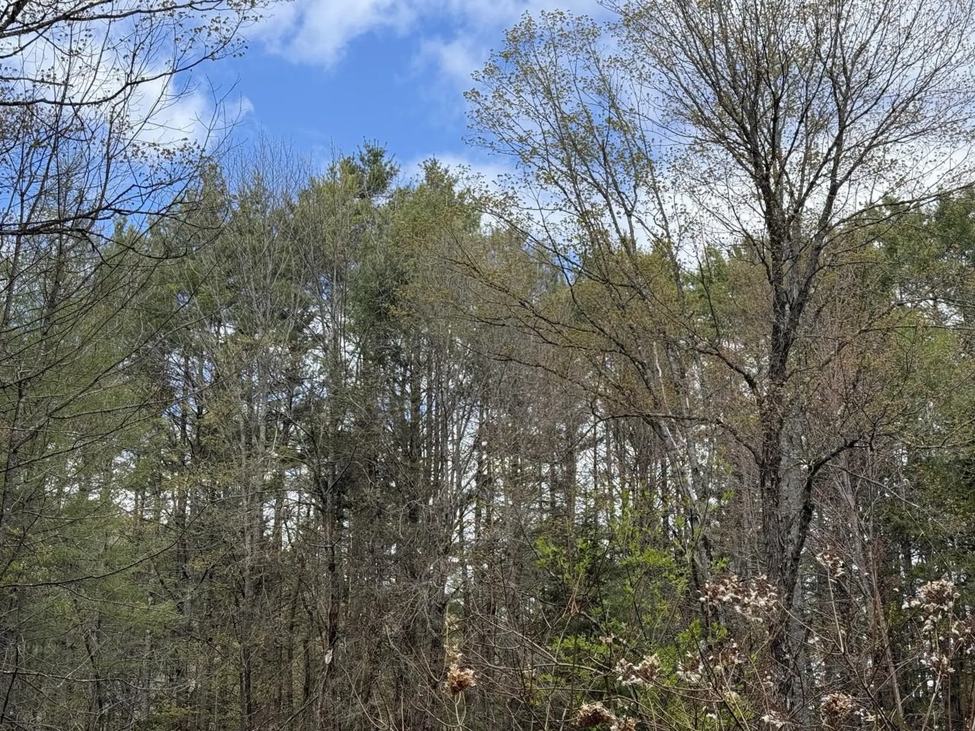 169 Jenkins Brook Road Chelsea VT 05038