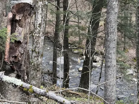 169 Jenkins Brook Road Chelsea VT 05038