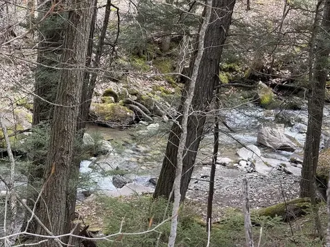 169 Jenkins Brook Road Chelsea VT 05038
