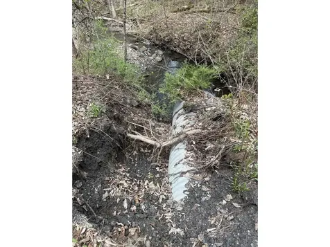 169 Jenkins Brook Road Chelsea VT 05038
