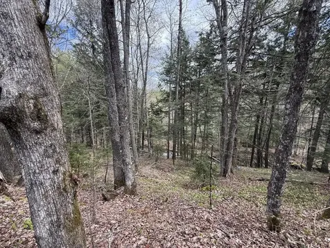 169 Jenkins Brook Road Chelsea VT 05038