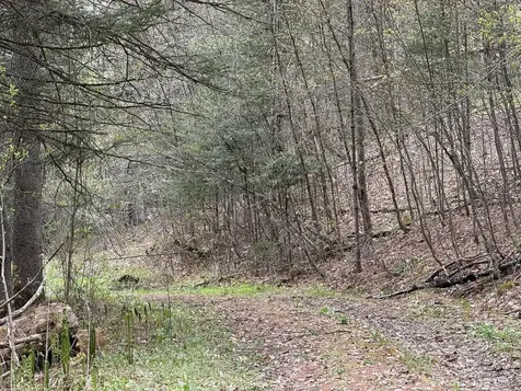 169 Jenkins Brook Road Chelsea VT 05038