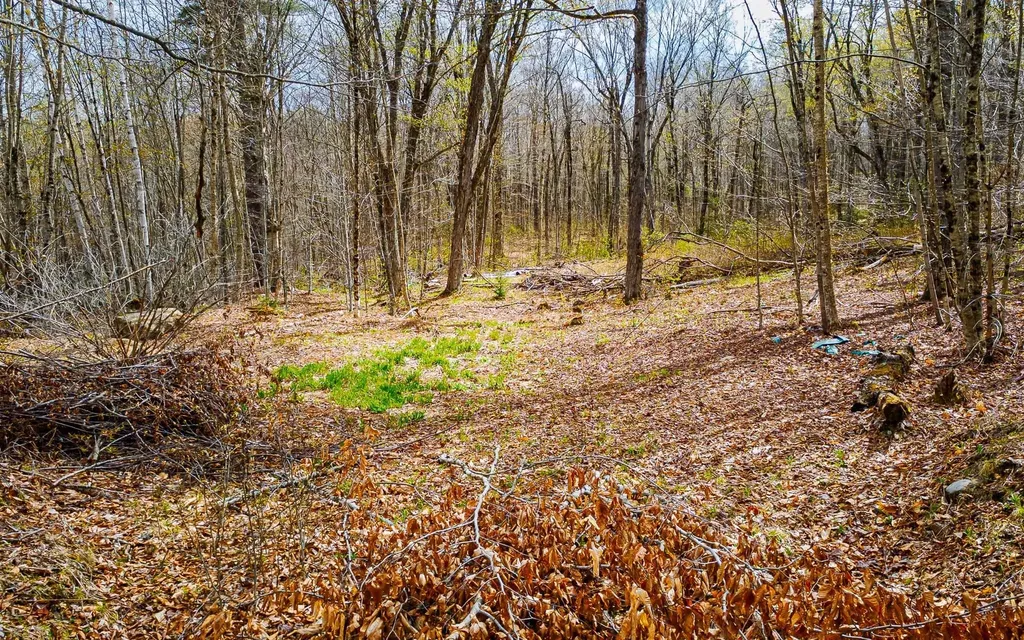 1053 Miller Pond Road Grantham NH 03753
