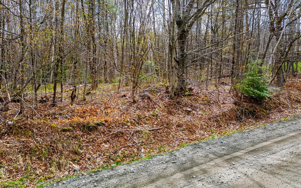 1053 Miller Pond Road Grantham NH 03753