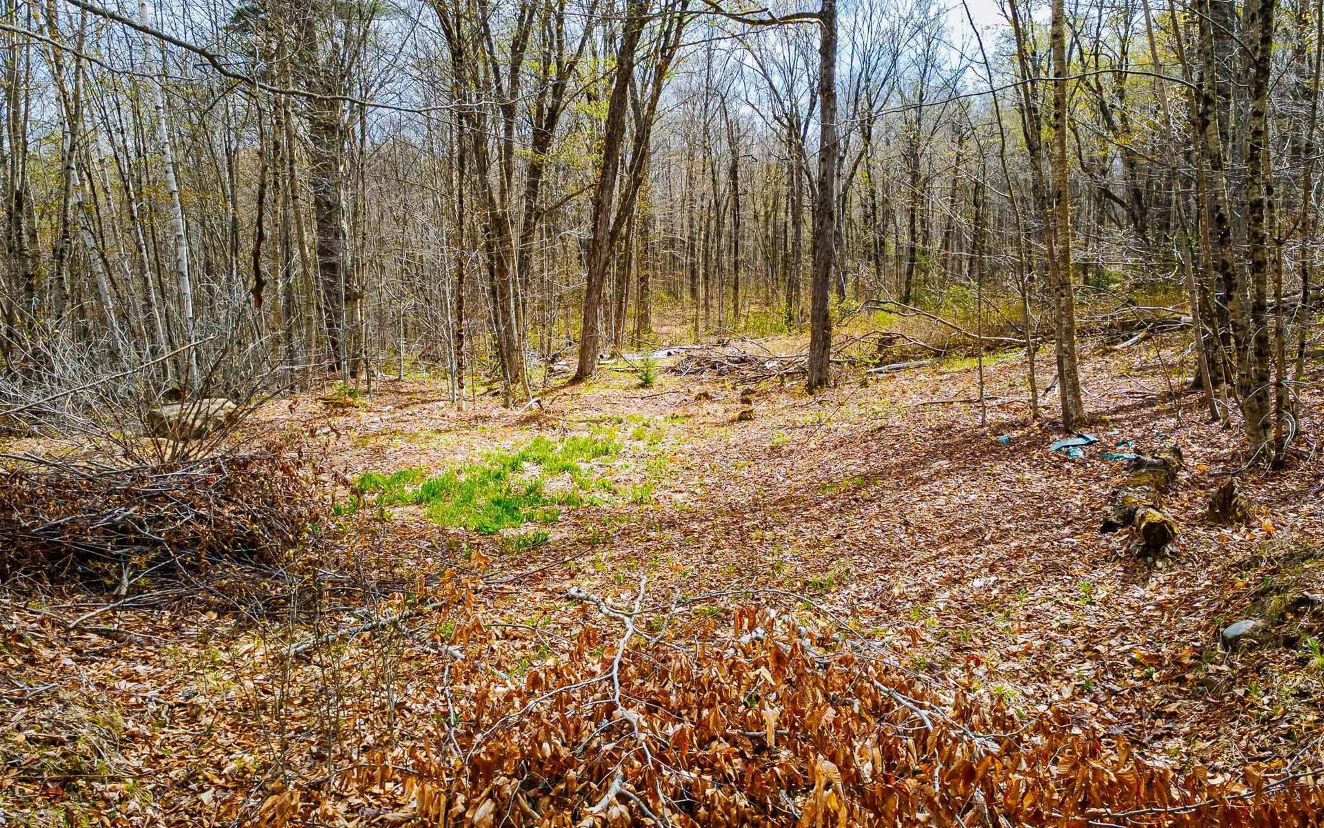 Grantham NH, 1053 Miller Pond Road