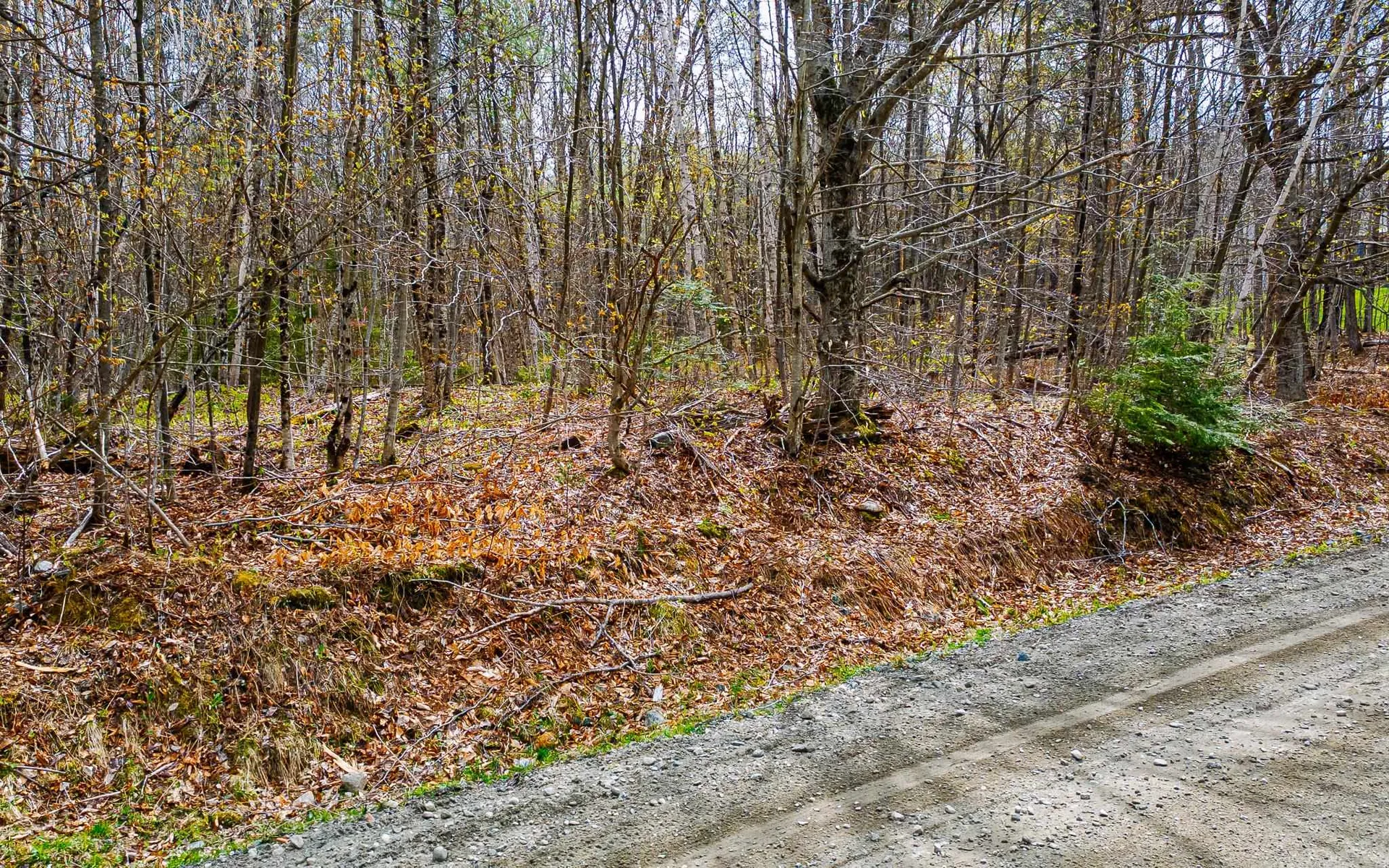 1053 Miller Pond Road Grantham NH 03753