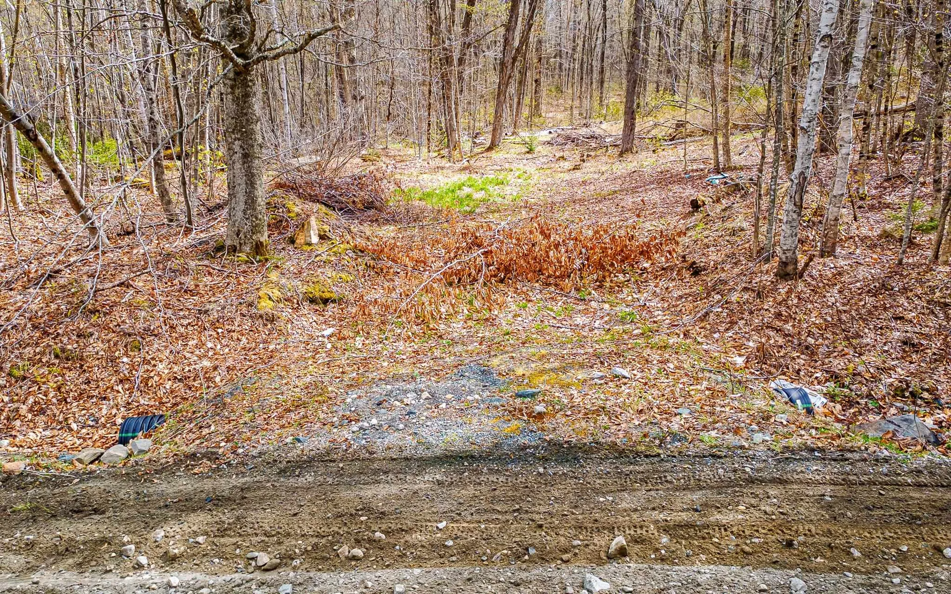 1053 Miller Pond Road Grantham NH 03753