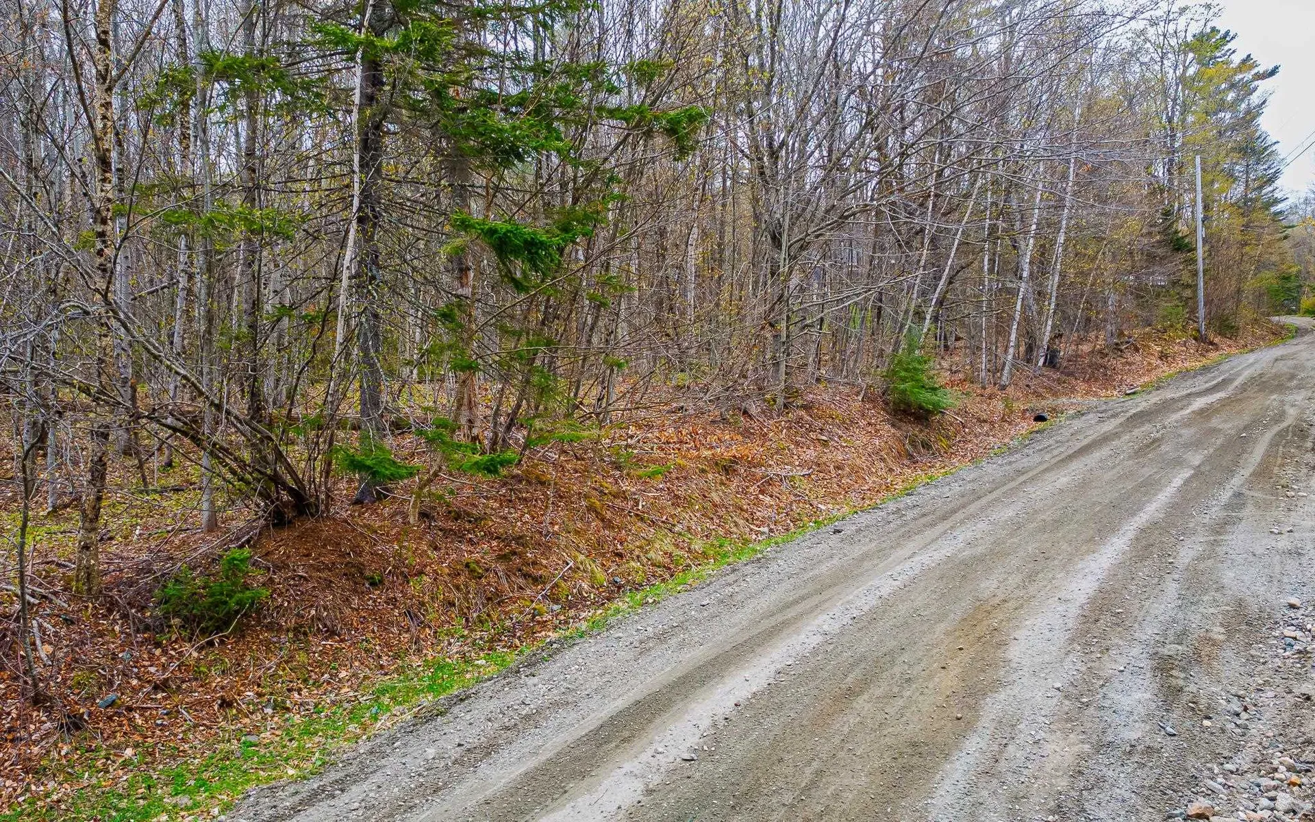 1053 Miller Pond Road Grantham NH 03753