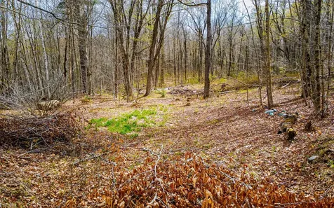 1053 Miller Pond Road Grantham NH 03753