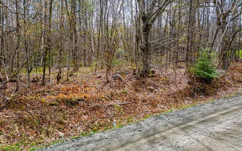 1053 Miller Pond Road Grantham NH 03753