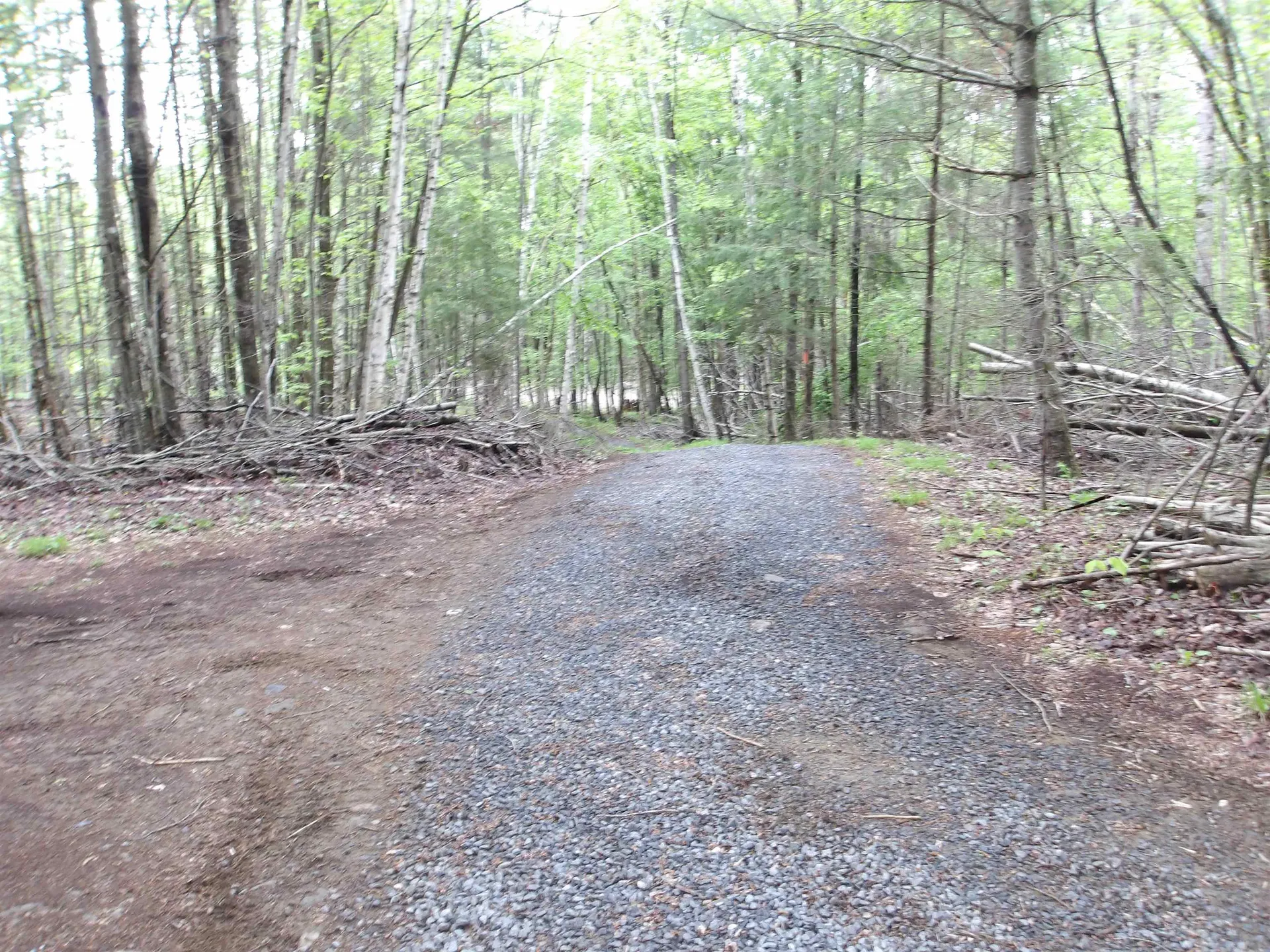 4 & 5 Forest Lane Lyndon VT 05851