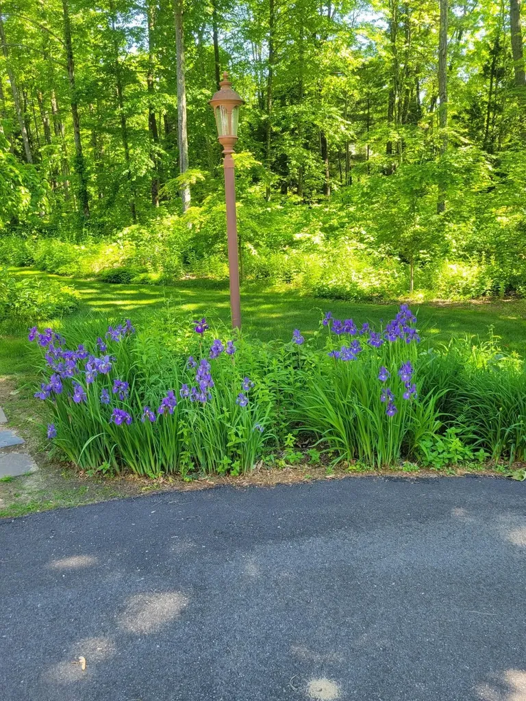6 Nancy Lane Hooksett NH 03106