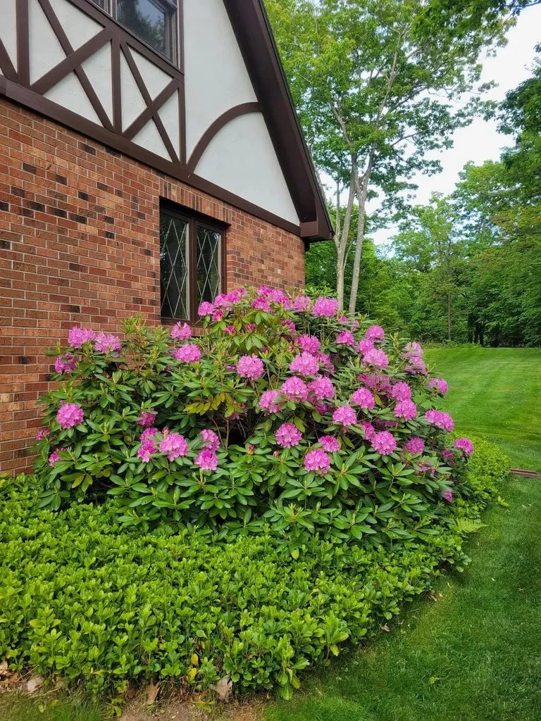 6 Nancy Lane Hooksett NH 03106