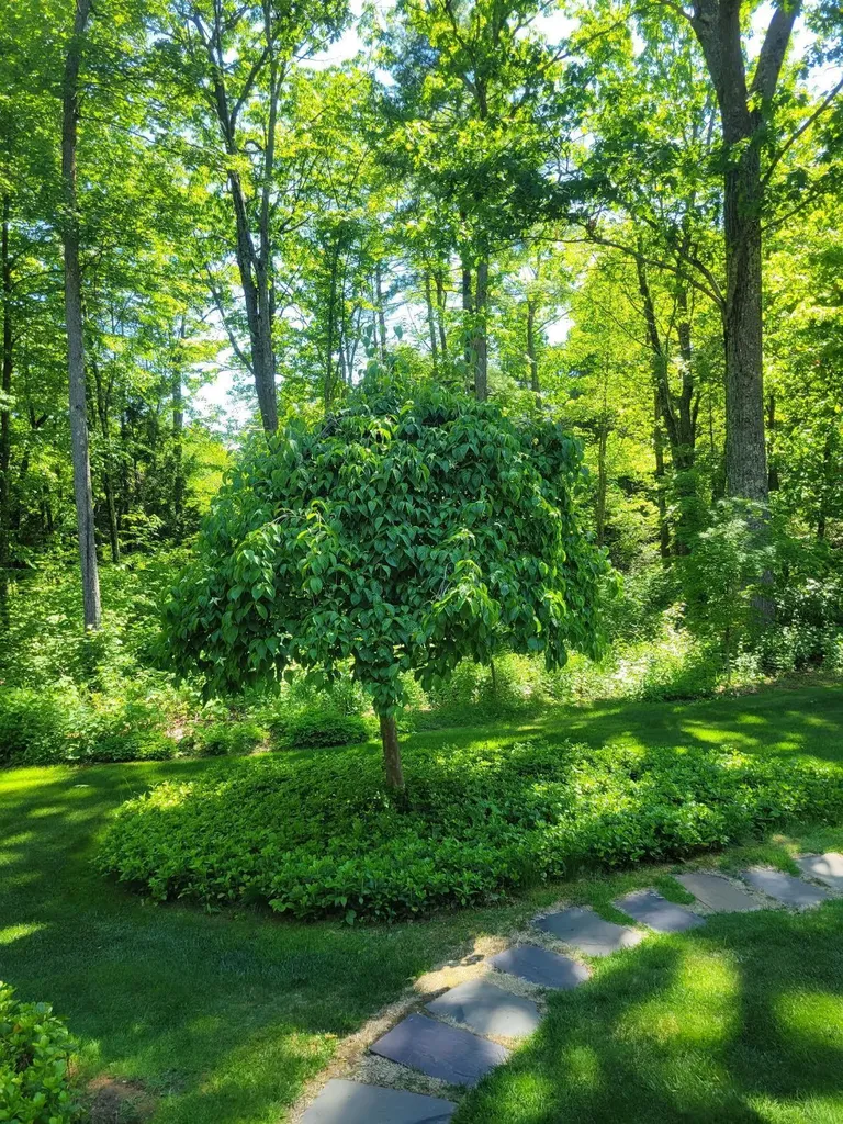 6 Nancy Lane Hooksett NH 03106
