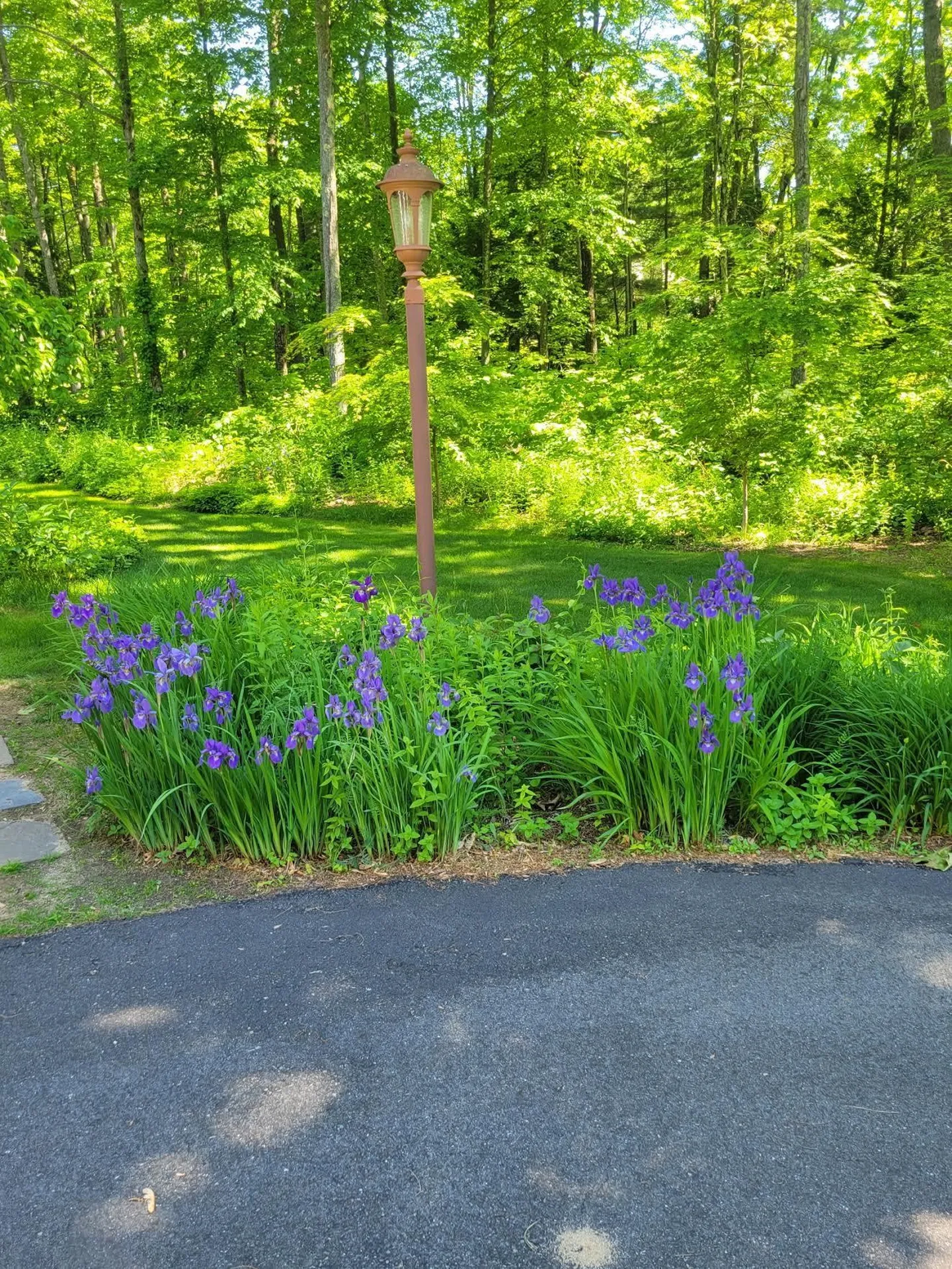 6 Nancy Lane Hooksett NH 03106