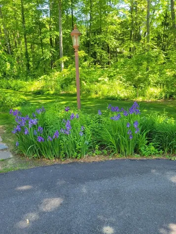 6 Nancy Lane Hooksett NH 03106