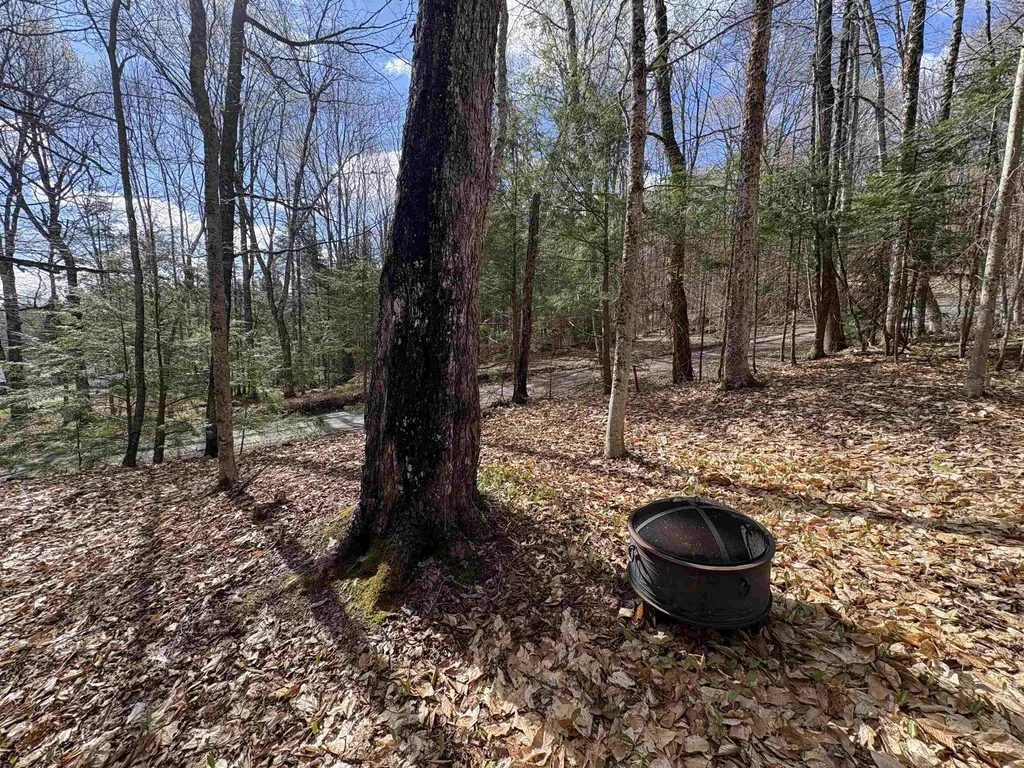 300 Moise Wood Road Brighton VT 05846