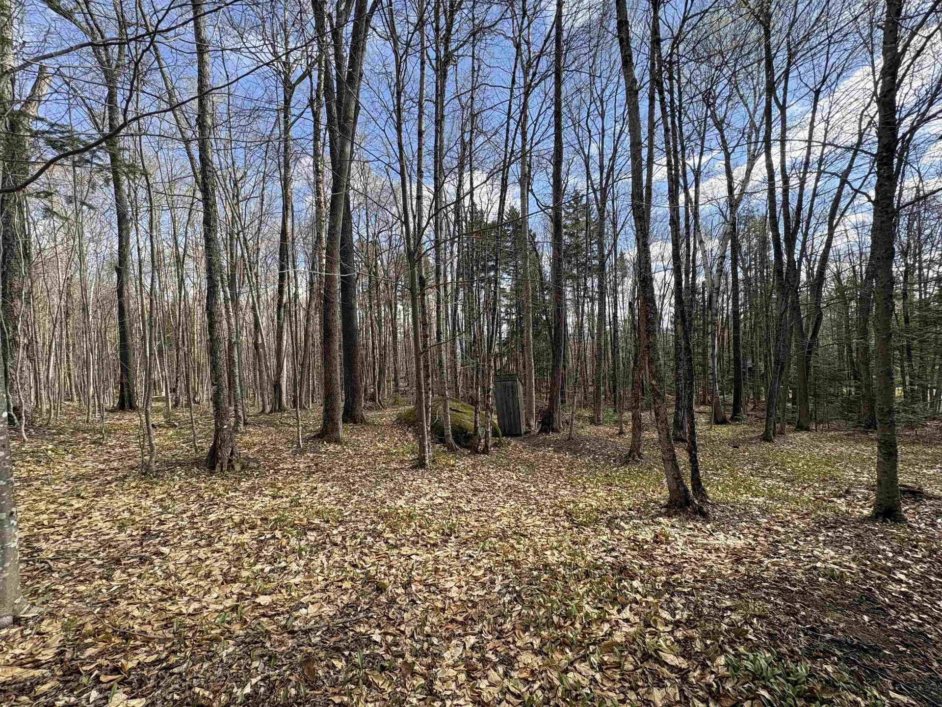 300 Moise Wood Road Brighton VT 05846