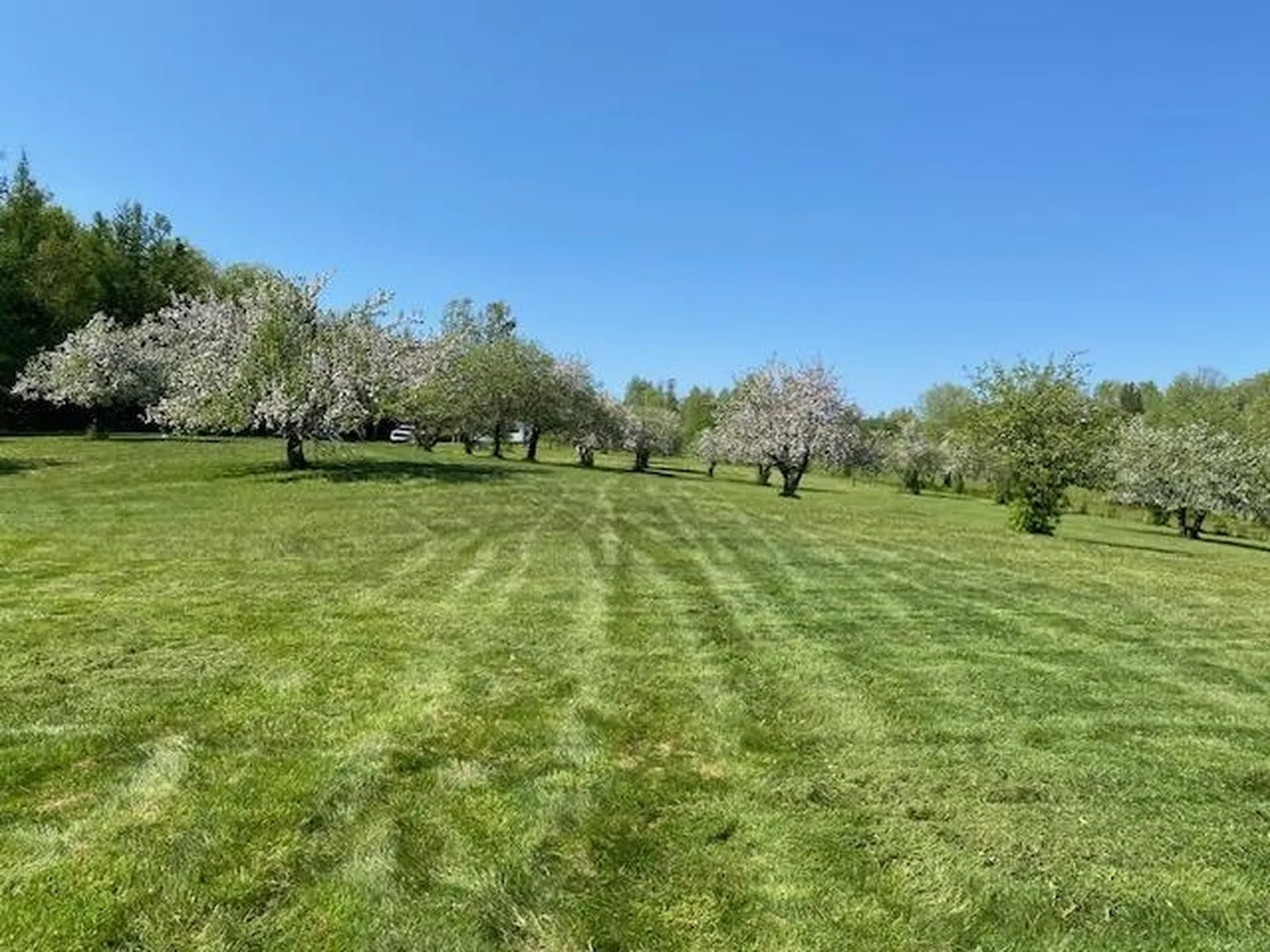 Off Reed Road Colebrook NH 03576