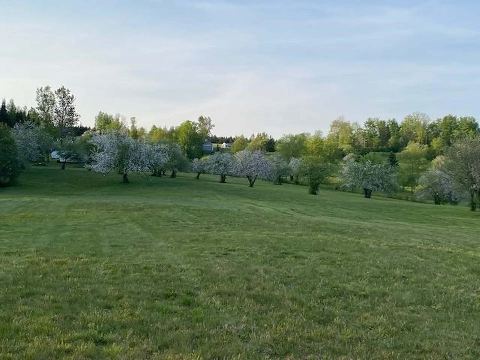 Off Reed Road Colebrook NH 03576