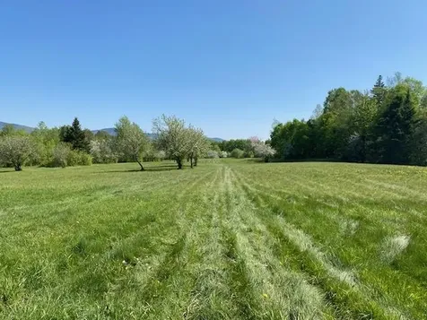 Off Reed Road Colebrook NH 03576