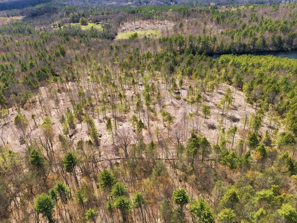 Lot 0-1-2 Pierce Lake Road Antrim NH 03440