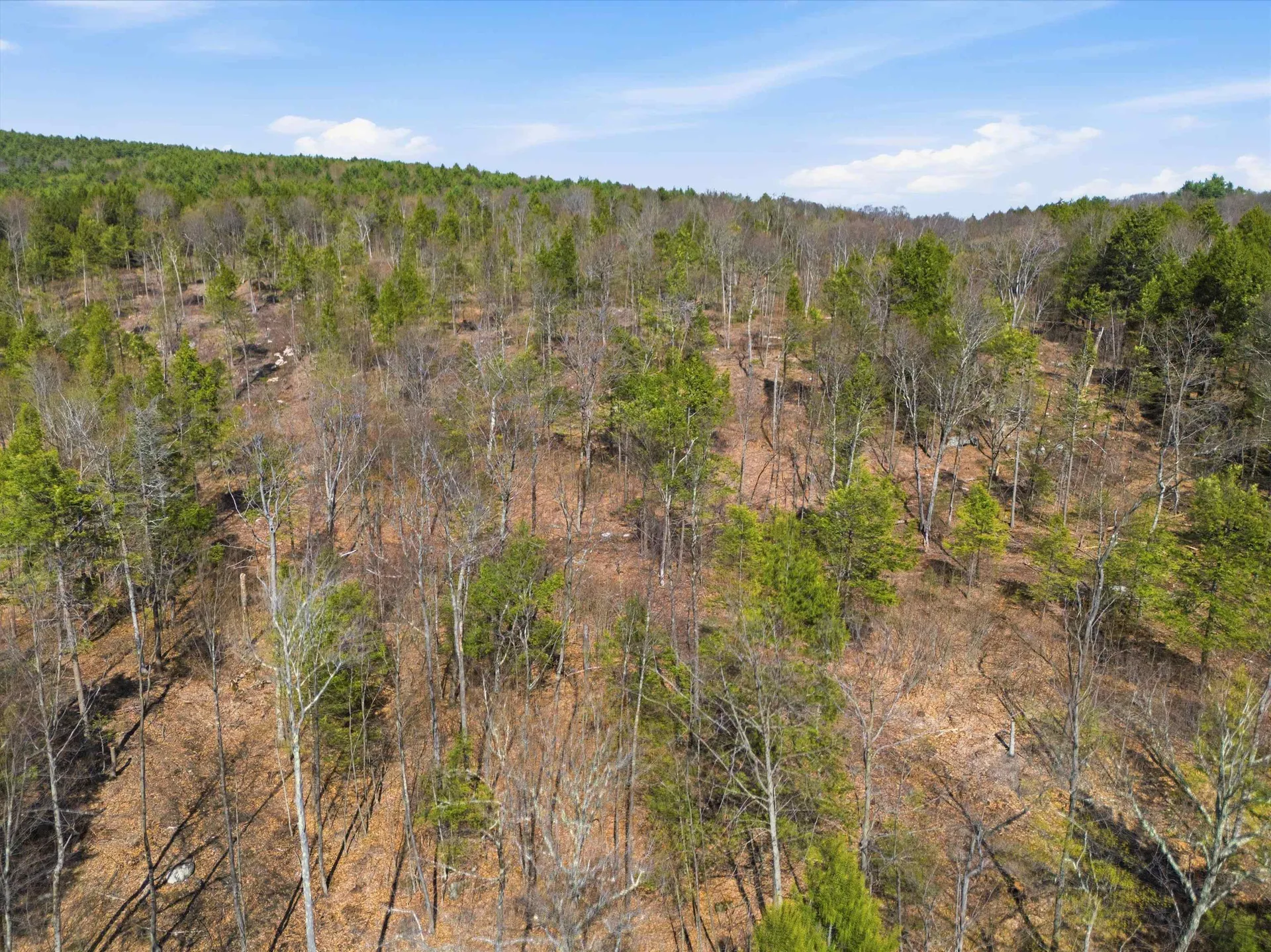 Lot 0-1-2 Pierce Lake Road Antrim NH 03440