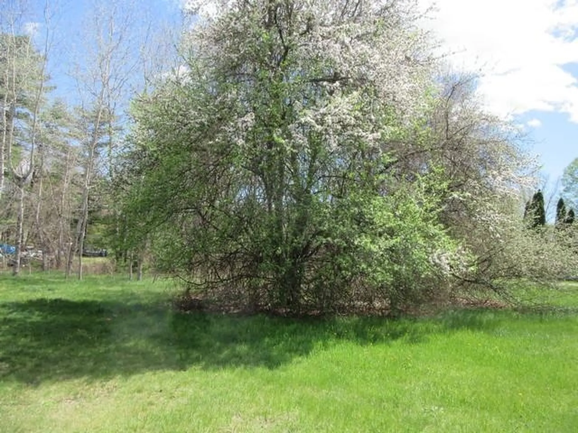 58 Fisherville Road Concord NH 03301