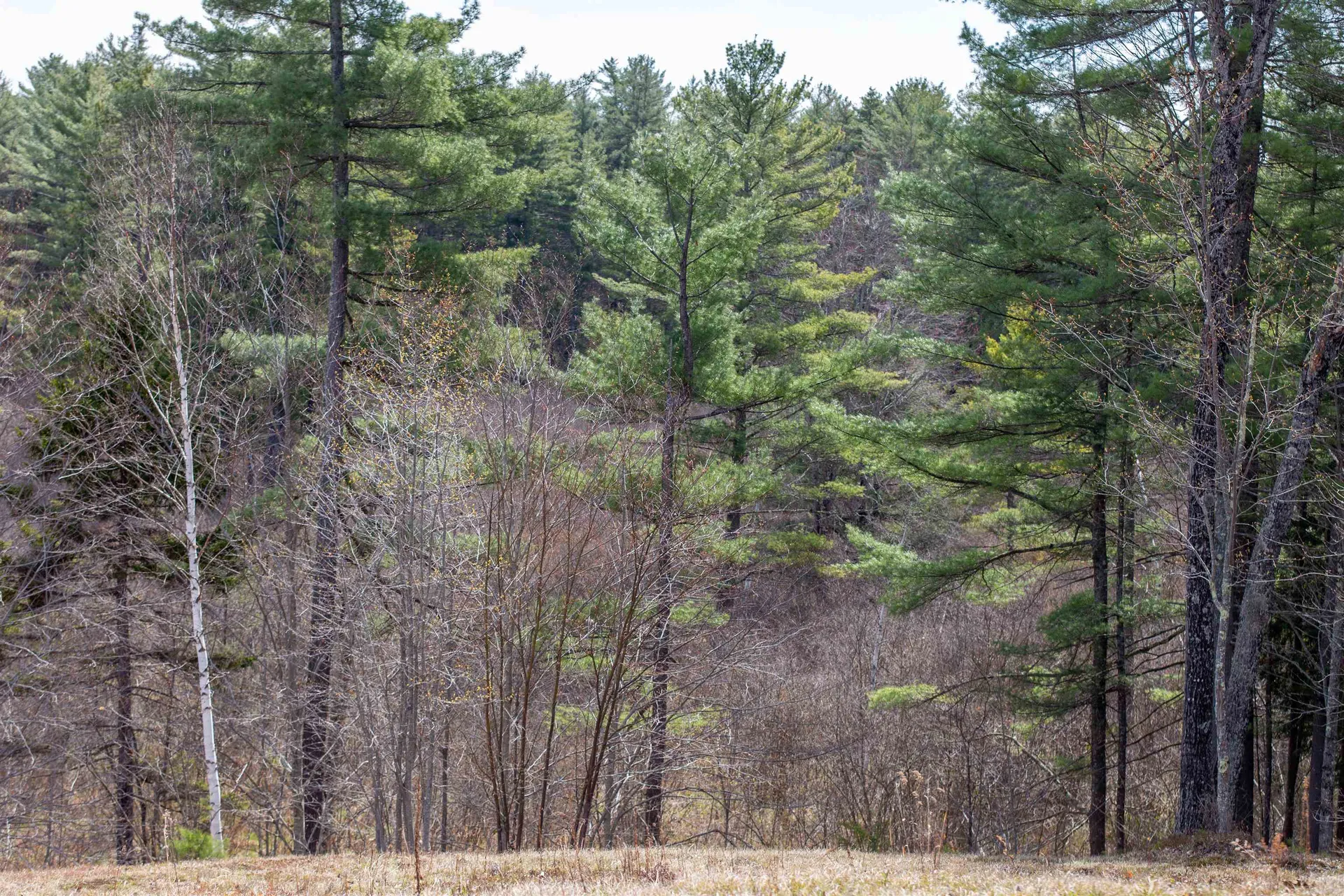 63 Colton Ridge Road Tamworth NH 03817