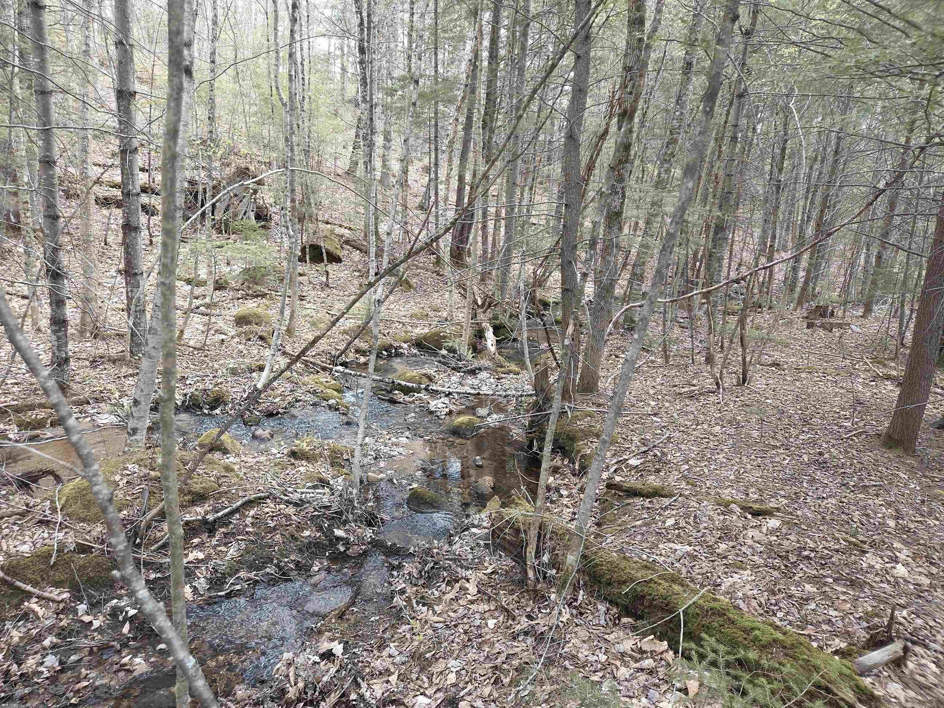 Lot 18 Fondue Avenue Thornton NH 03285