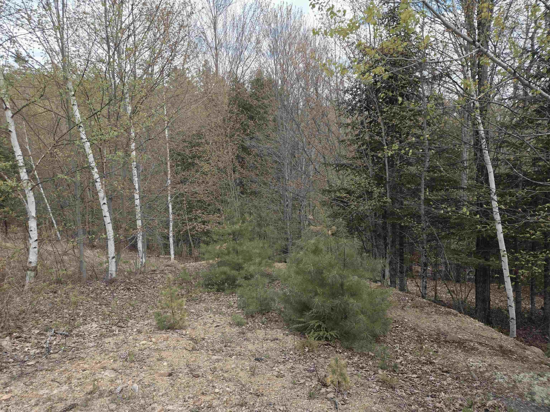 Lot 18 Fondue Avenue Thornton NH 03285