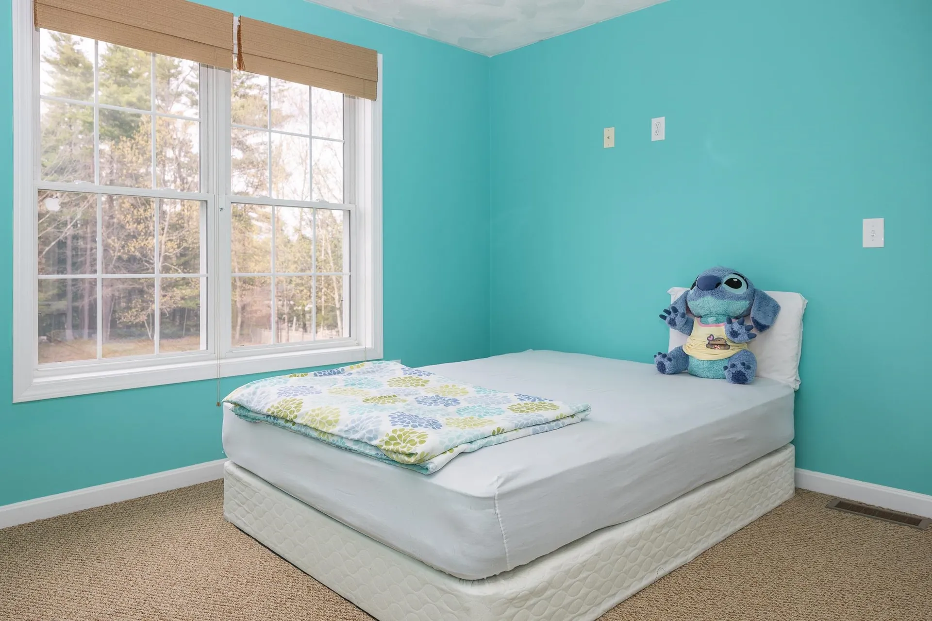 29 Milo Lane Somersworth NH 03878