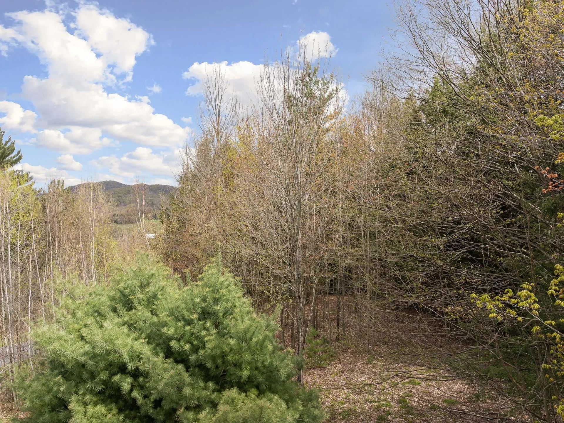 River View Road Cambridge VT 05464