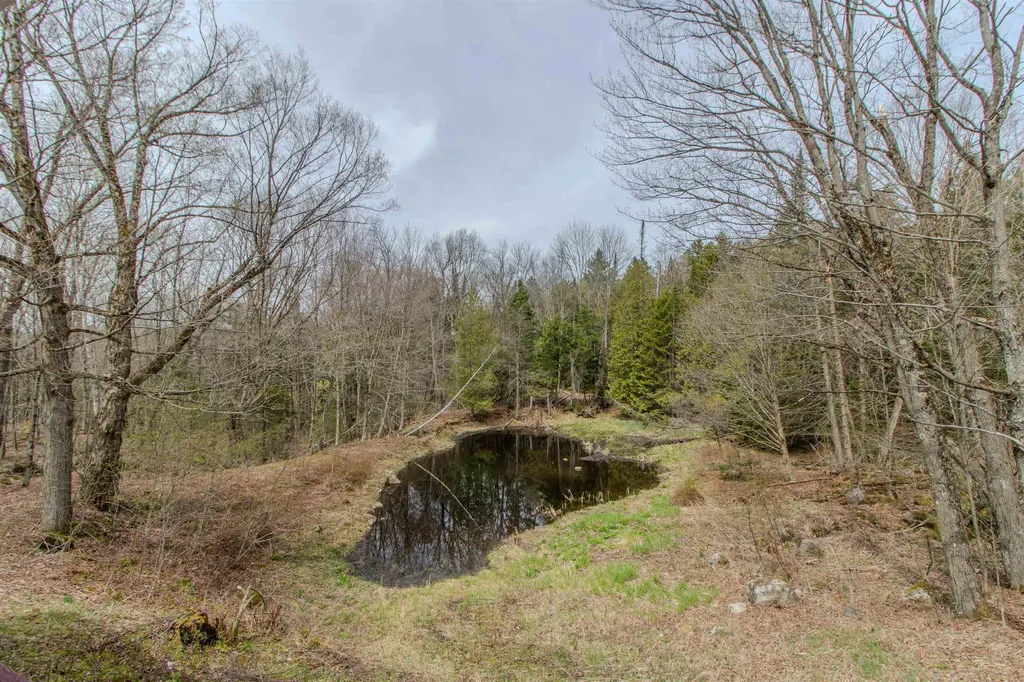 2029 Ten Mile Square Road Brighton VT 05846