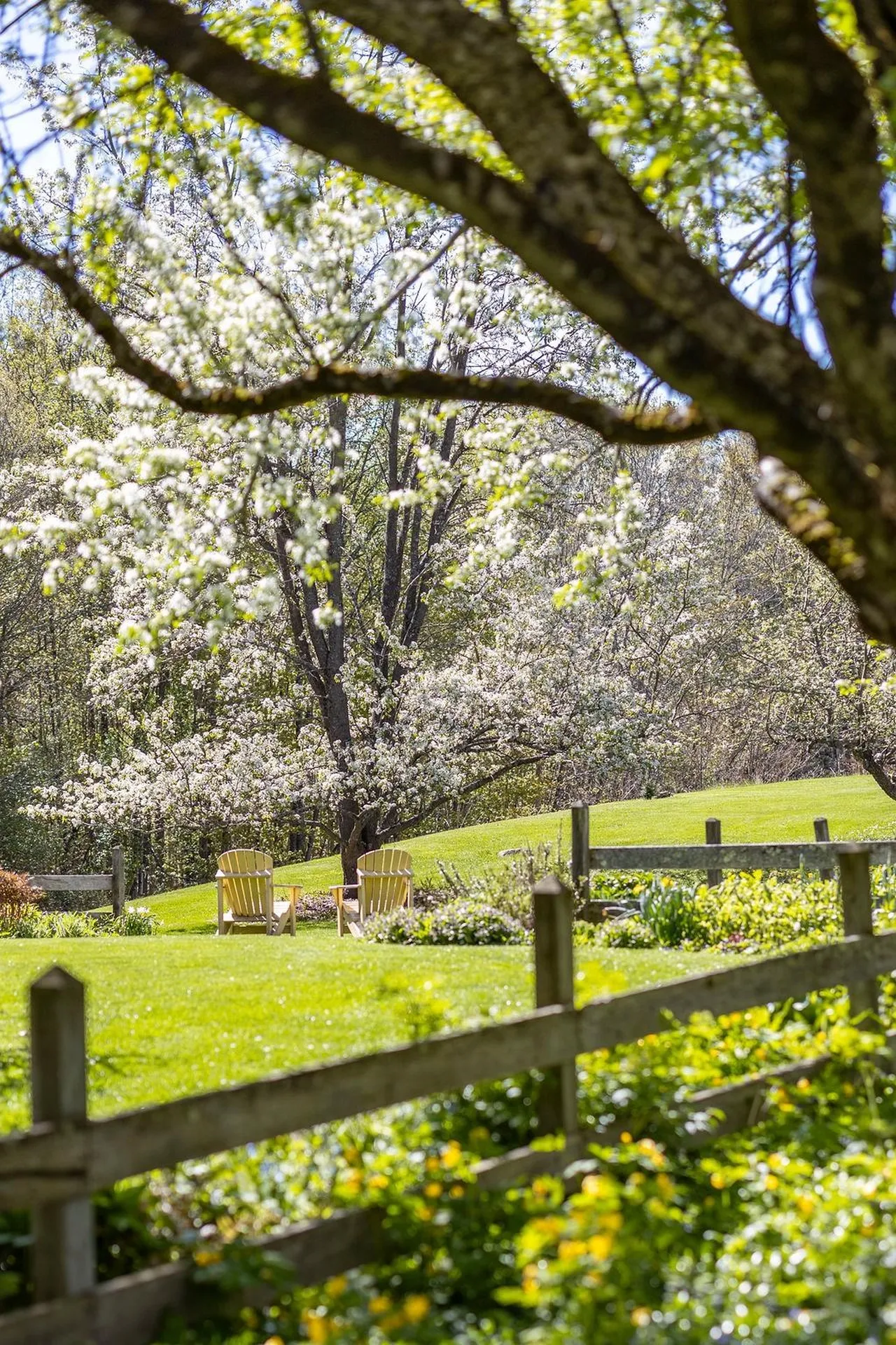1459 South Road Hopkinton NH 03229