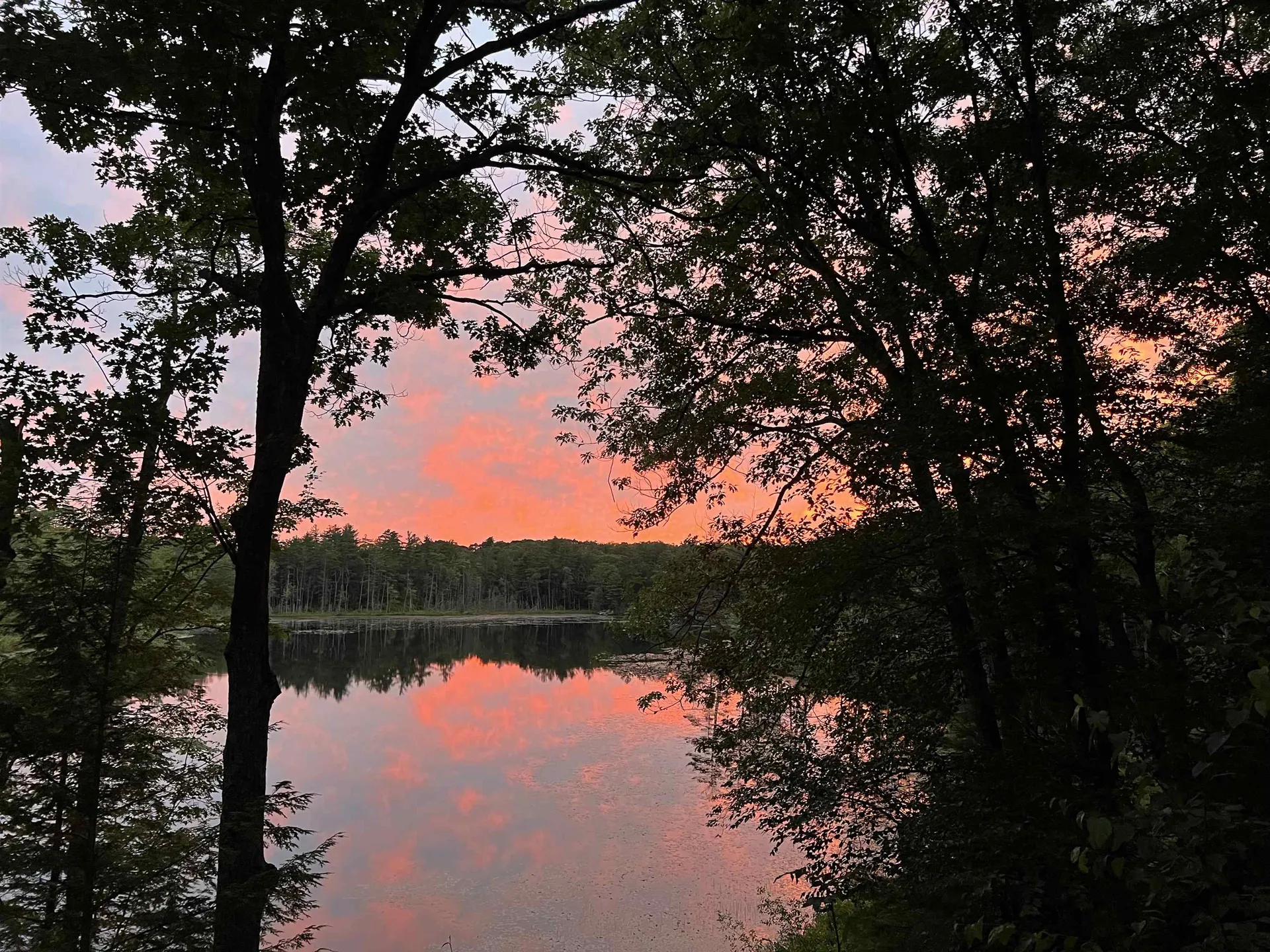 90 Collins Pond Road Fitzwilliam NH 03447
