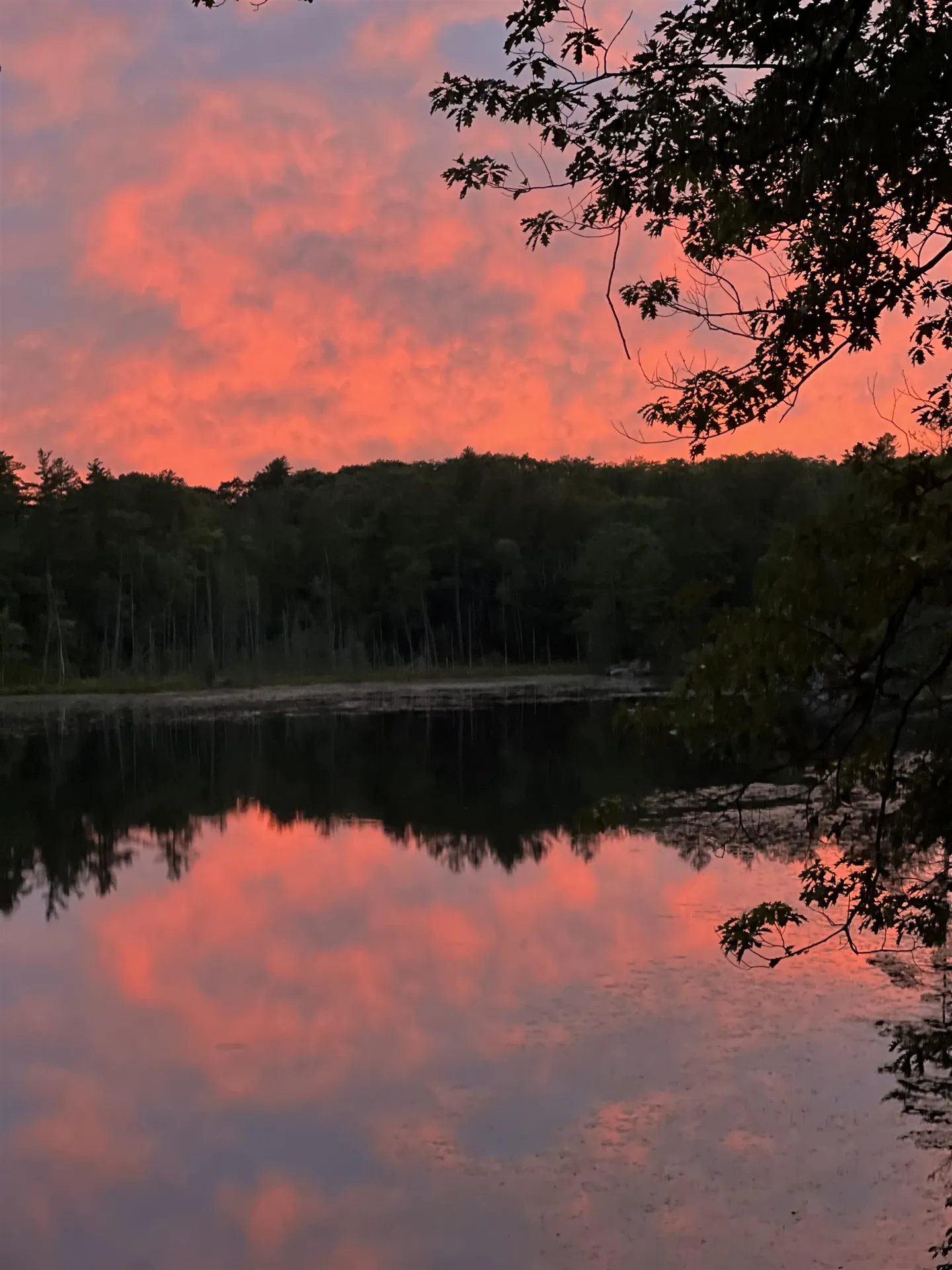 90 Collins Pond Road Fitzwilliam NH 03447