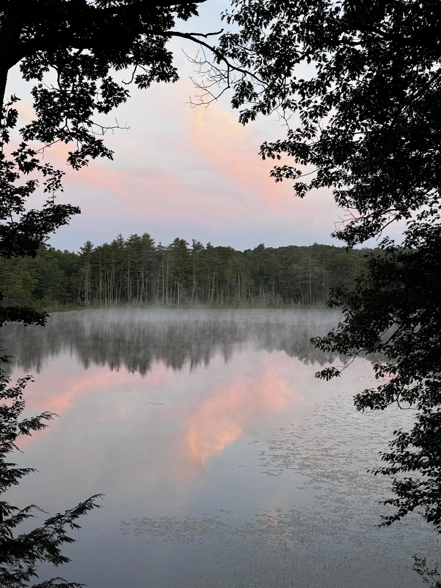 90 Collins Pond Road Fitzwilliam NH 03447