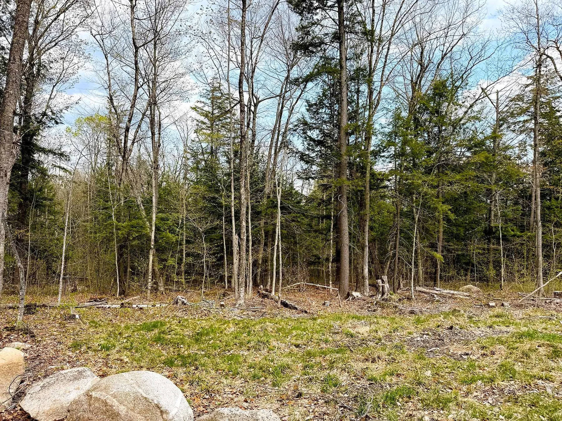Tm 413 L 99 King Road Alexandria NH 03222