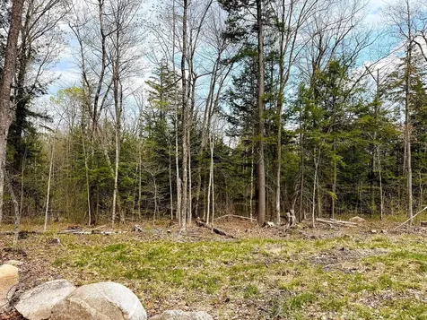 Tm 413 L 99 King Road Alexandria NH 03222