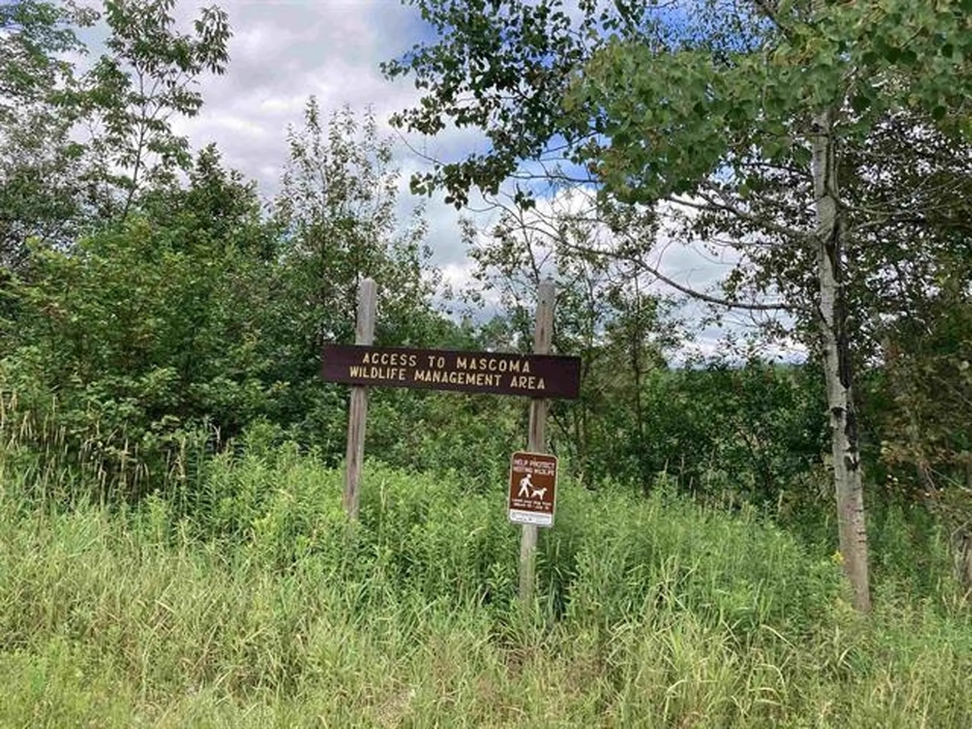 147 Stark Hill Road Canaan NH 03741
