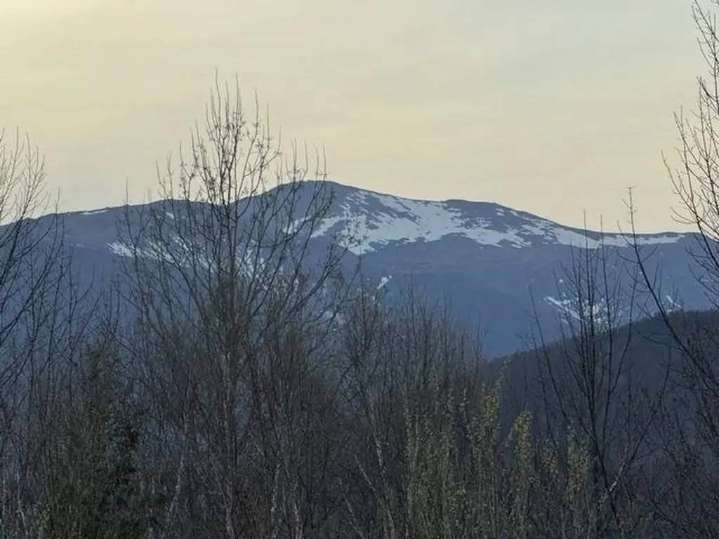 K41 Christmas Mountain Road Bartlett NH 03812