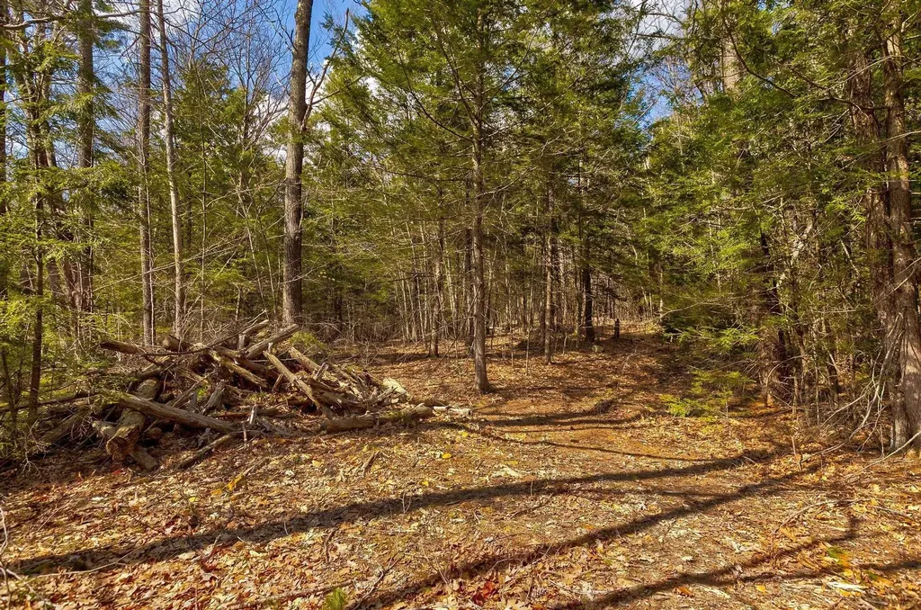207 Durrell Mountain Road Belmont NH 03220
