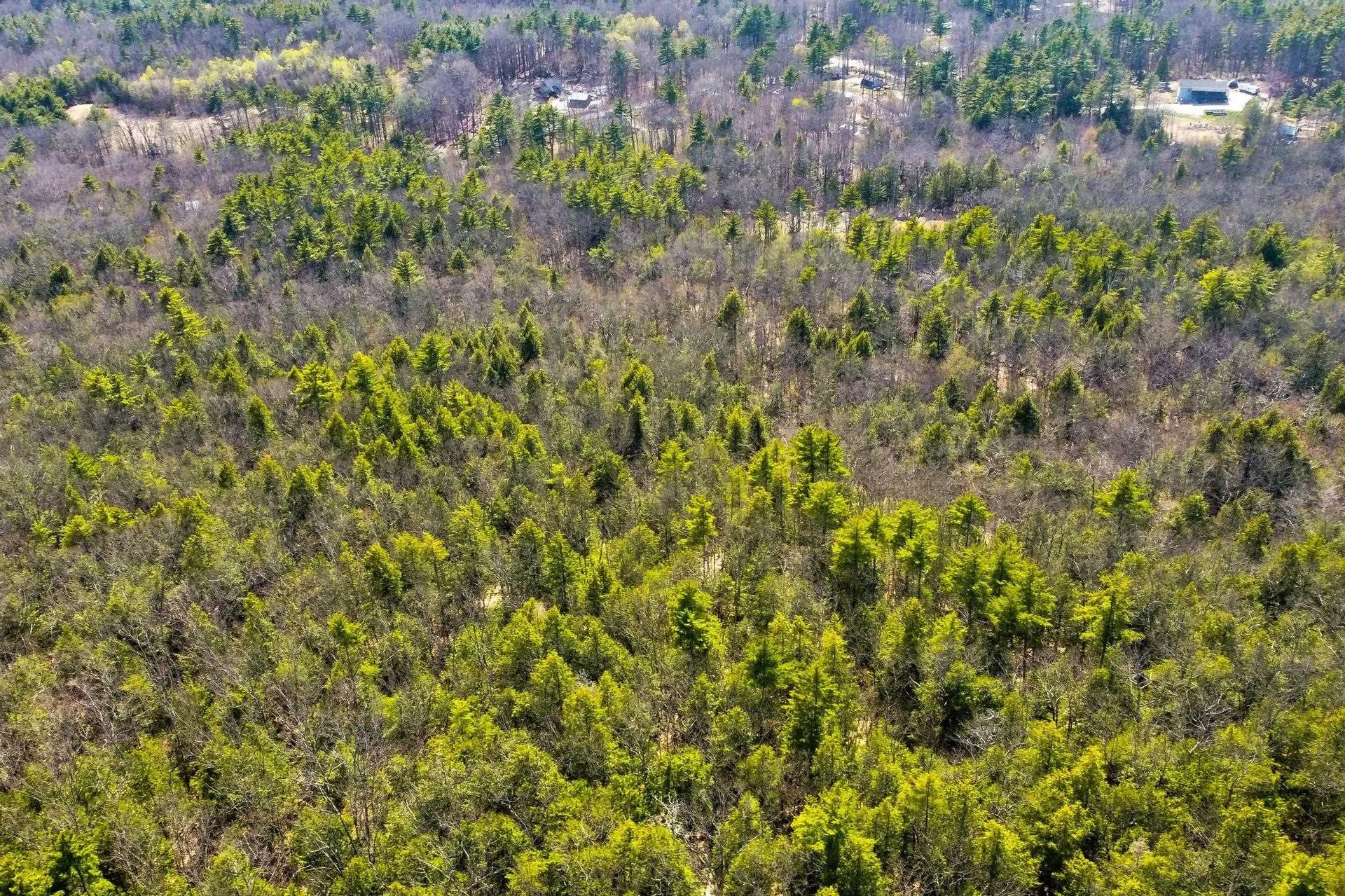 207 Durrell Mountain Road Belmont NH 03220