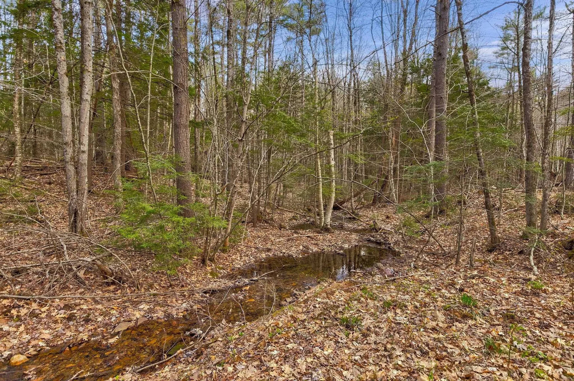 207 Durrell Mountain Road Belmont NH 03220