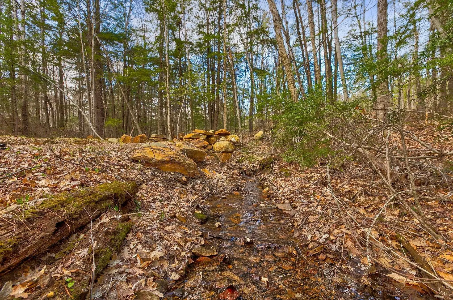 207 Durrell Mountain Road Belmont NH 03220